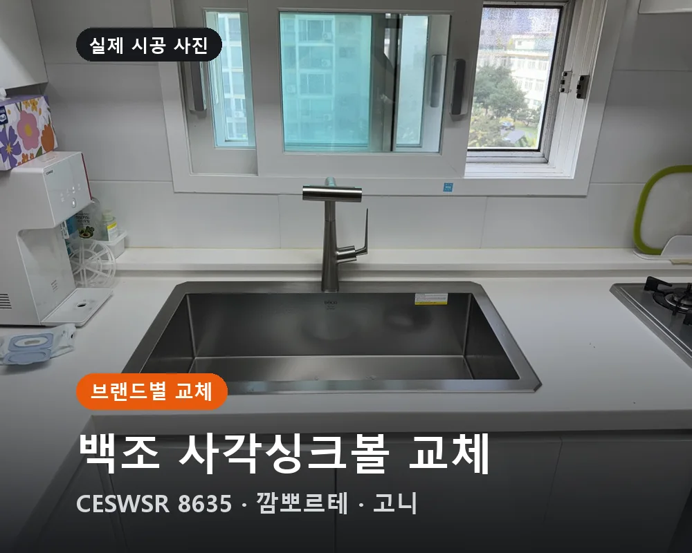 백조 사각싱크볼 교체 — CESWSR 8635 · 깜뽀르테 · 고니
